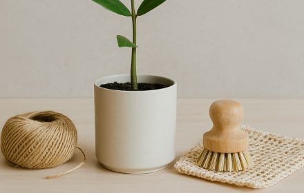 Minimalist Yaşam ve Çevreye Katkısı